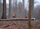Sägeübung Plön 13.02.2016_5