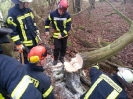 Sägeübung Flüggendorf 21.01.2017 Quelle: Feuerwehr Lebrade_13