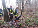 Sägeübung Flüggendorf 21.01.2017 Quelle: Feuerwehr Lebrade_1
