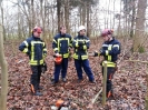 Sägeübung Flüggendorf 21.01.2017 Quelle: Feuerwehr Lebrade_7