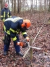 Sägeübung Flüggendorf 21.01.2017 Quelle: Feuerwehr Lebrade_8