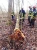 Sägeübung Flüggendorf 21.01.2017 Quelle: Feuerwehr Lebrade_9